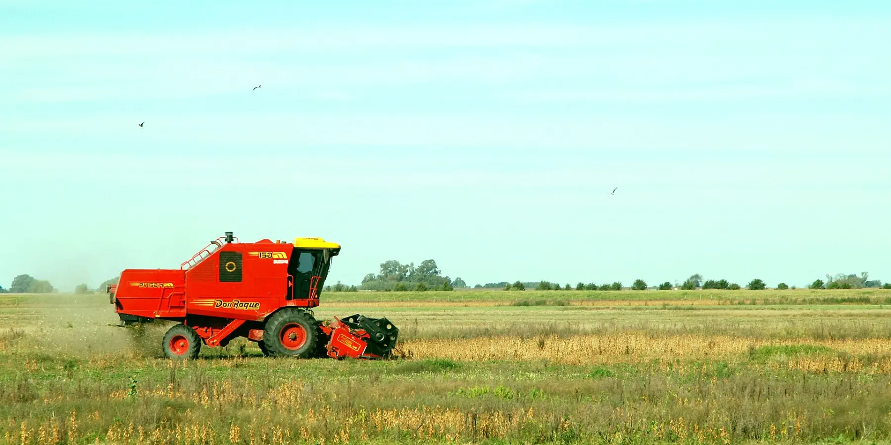 Cosechadora roja trabajando en un campo de soja en Junín, provincia de Buenos Aires